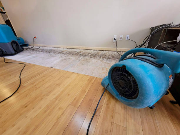 Reliable Crawl Space Water Removal contractor in Winchester, IL by Hirex Water Damage