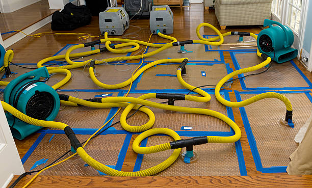 Professional Crawl Space Water Removal technician working in Winchester, IL